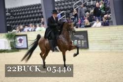 22BUCK_05446 proof