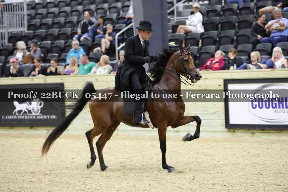 Proof 22BUCK_05447