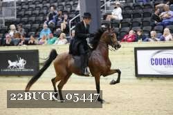 22BUCK_05447 proof