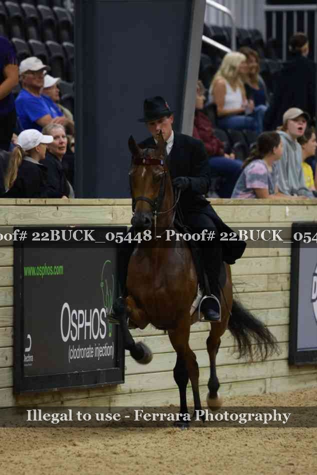 Proof 22BUCK_05448
