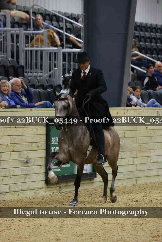 Proof 22BUCK_05449