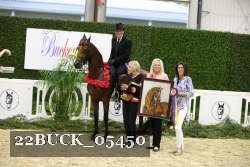 22BUCK_05450 proof