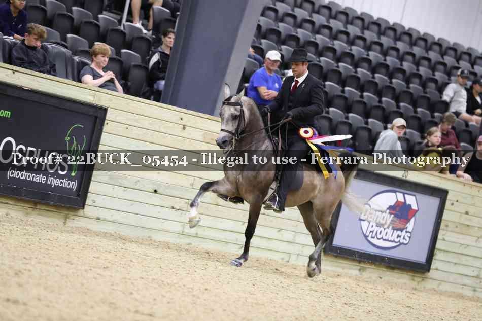 Proof 22BUCK_05454