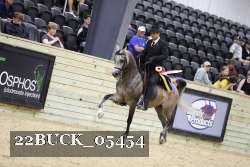 22BUCK_05454 proof