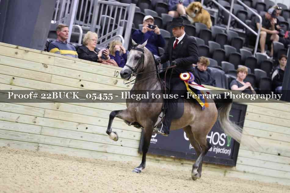 Proof 22BUCK_05455