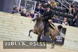 22BUCK_05455 proof