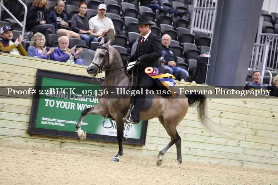 Proof 22BUCK_05456