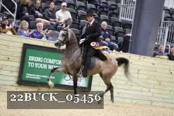 22BUCK_05456 proof