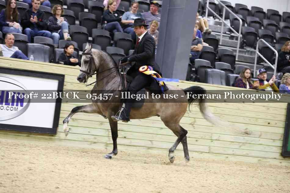 Proof 22BUCK_05457