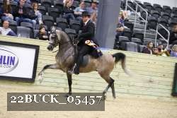 22BUCK_05457 proof