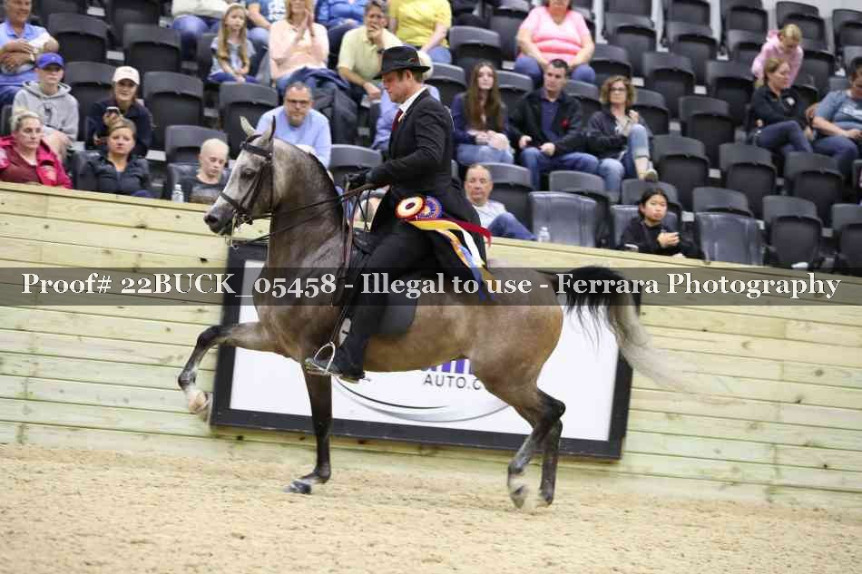 Proof 22BUCK_05458