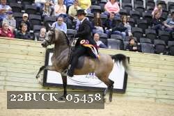 22BUCK_05458 proof