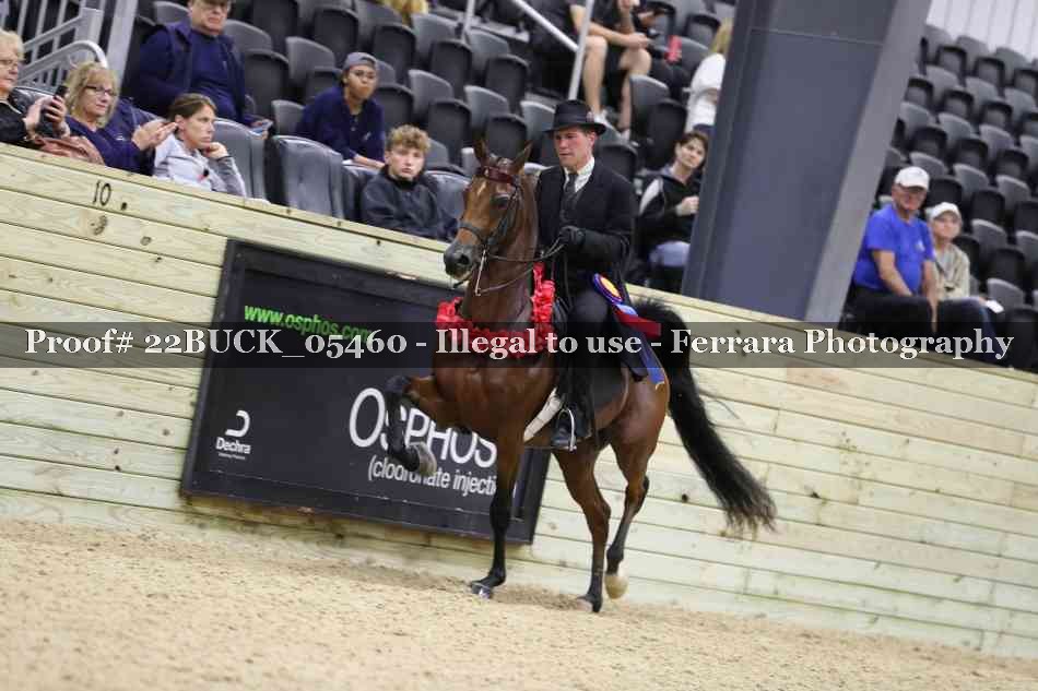Proof 22BUCK_05460