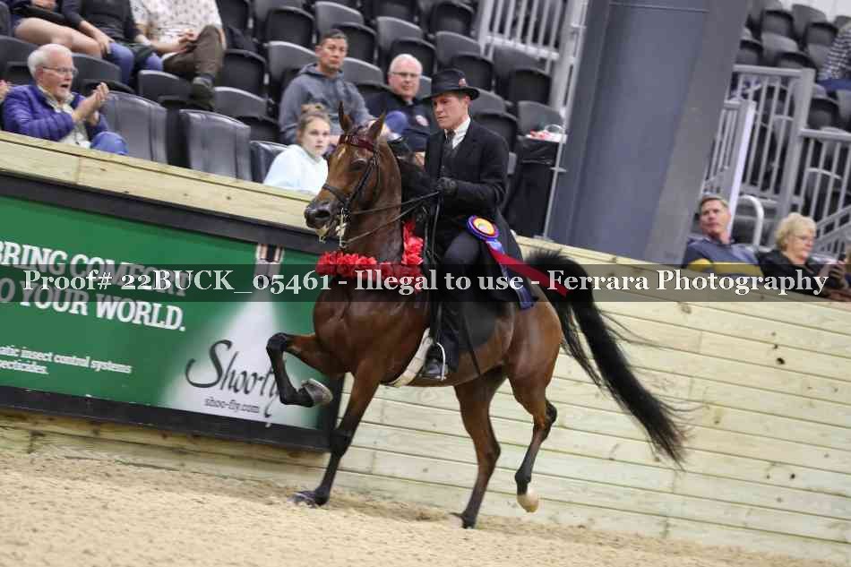 Proof 22BUCK_05461