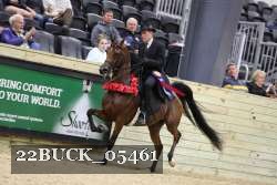 22BUCK_05461 proof