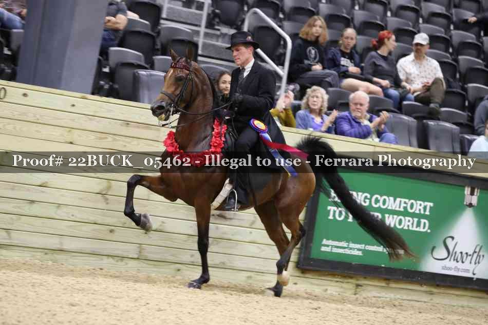 Proof 22BUCK_05462