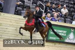 22BUCK_05462 proof