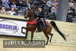 22BUCK_05463 proof