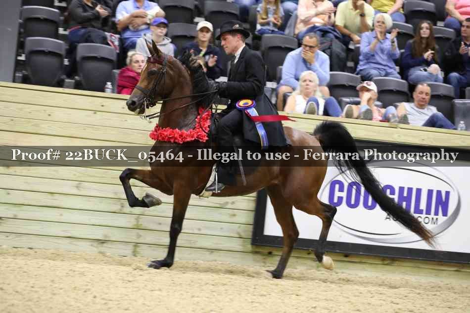 Proof 22BUCK_05464