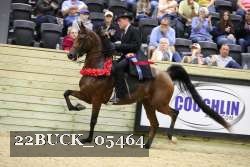 22BUCK_05464 proof