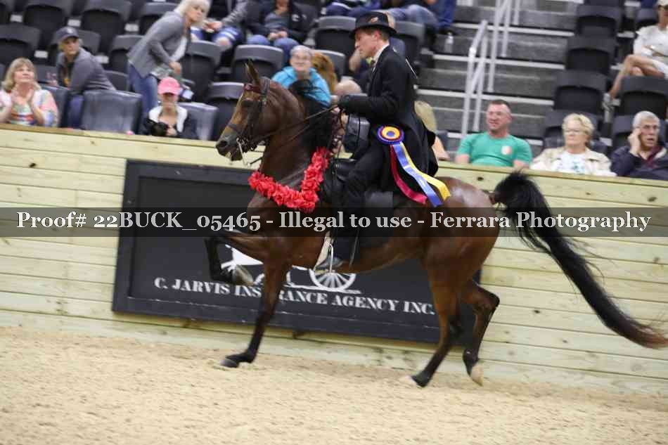 Proof 22BUCK_05465