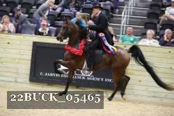 22BUCK_05465 proof