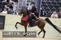 22BUCK_05466 proof