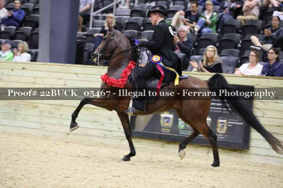 Proof 22BUCK_05467