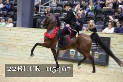22BUCK_05467 proof