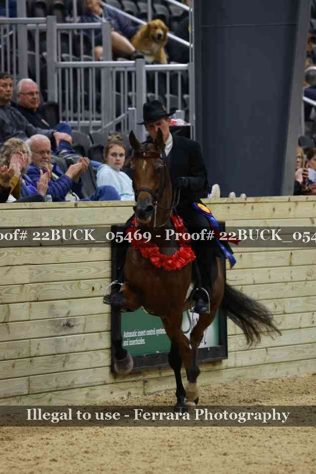 Proof 22BUCK_05469