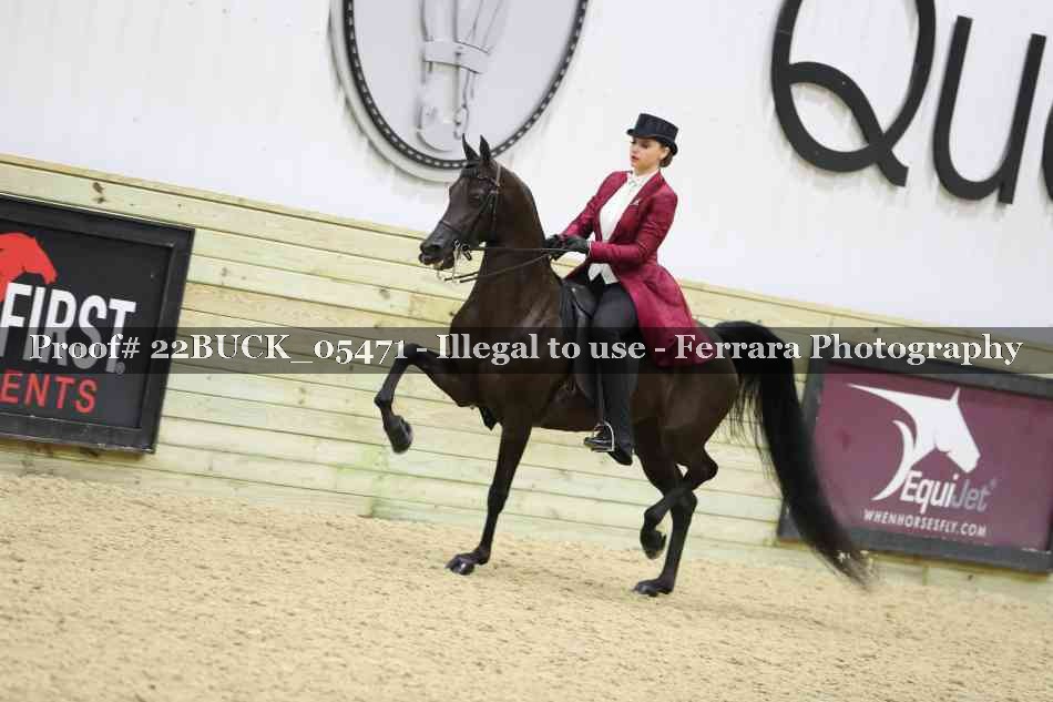 Proof 22BUCK_05471