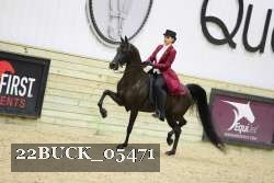 22BUCK_05471 proof