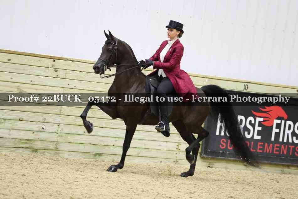 Proof 22BUCK_05472