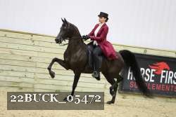22BUCK_05472 proof
