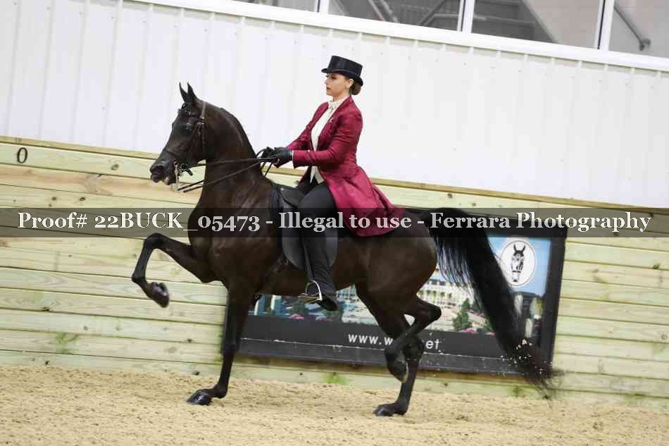 Proof 22BUCK_05473