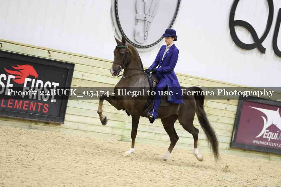 Proof 22BUCK_05474