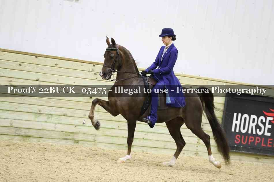 Proof 22BUCK_05475