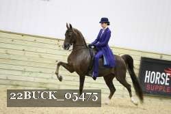 22BUCK_05475 proof