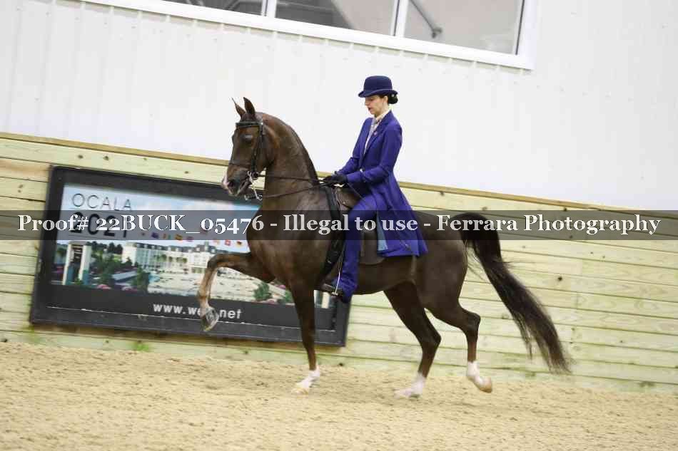 Proof 22BUCK_05476