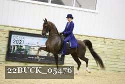 22BUCK_05476 proof