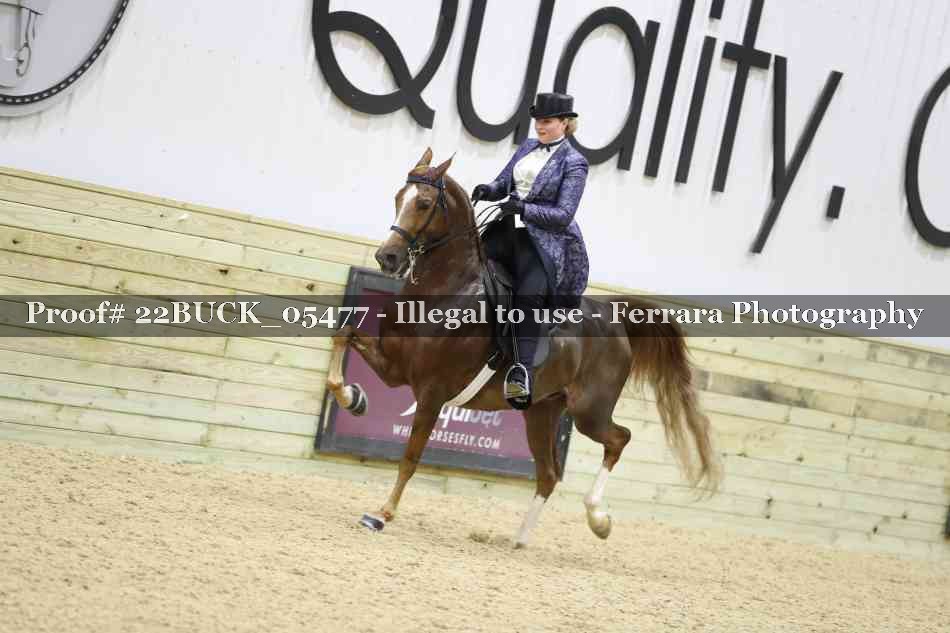 Proof 22BUCK_05477