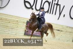 22BUCK_05477 proof