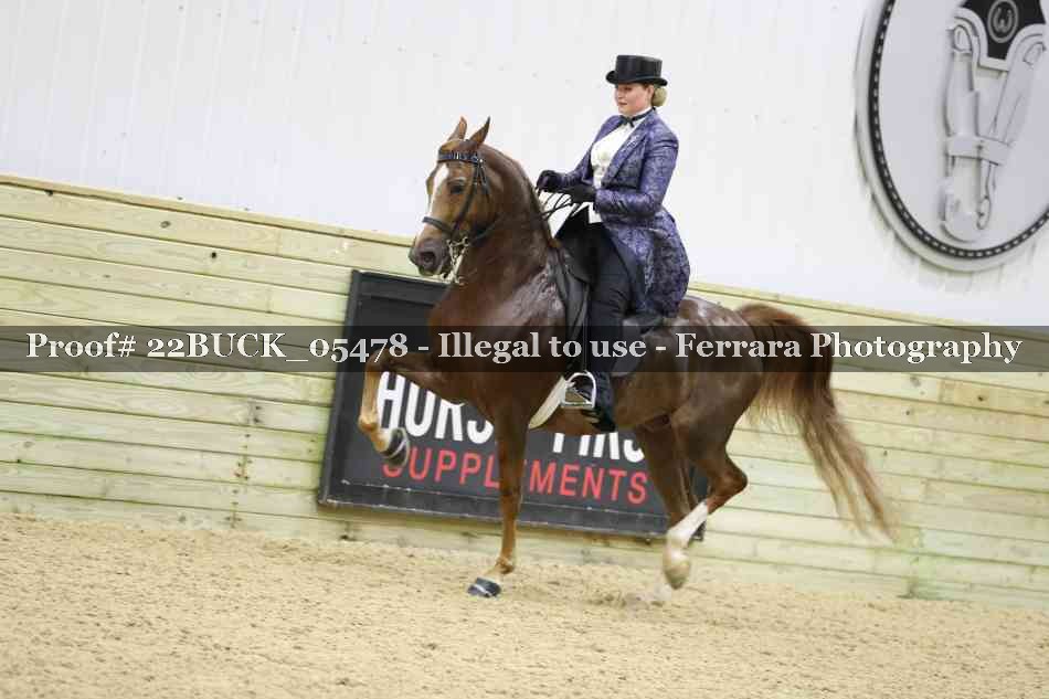 Proof 22BUCK_05478