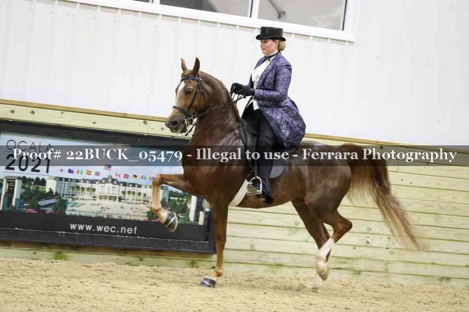 Proof 22BUCK_05479