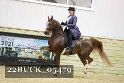 22BUCK_05479 proof
