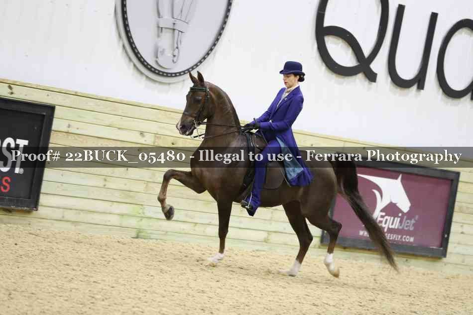 Proof 22BUCK_05480