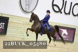 22BUCK_05480 proof