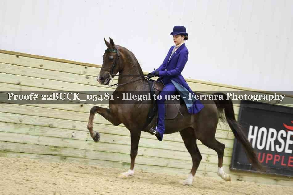Proof 22BUCK_05481