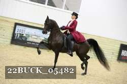 22BUCK_05482 proof