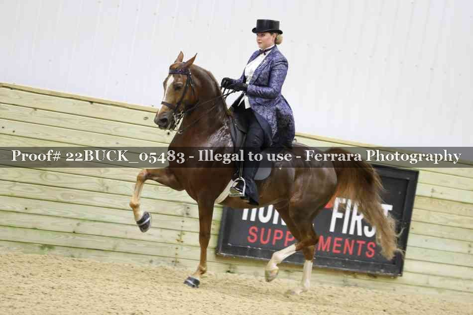 Proof 22BUCK_05483